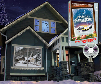 Winter Wonderland Digital Decorations DVD for Winter and Christmas Holiday Projection Decorating