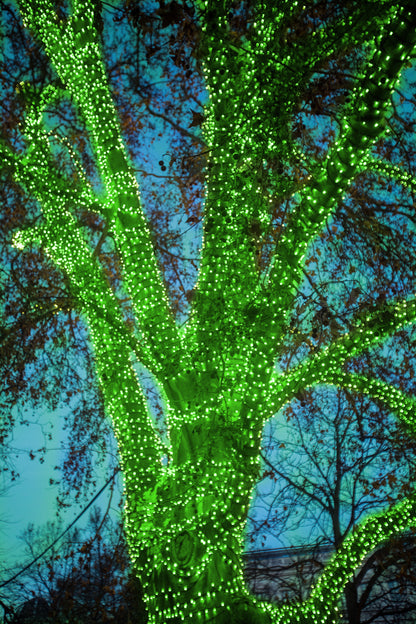 4 pack - 5mm - 50 ct - Green LED- 4" spacing - Green wire - 17 ft long