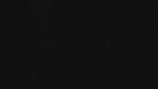 Vintage Santa Runway Lights with Santa Landing Zone Inflatable Sign